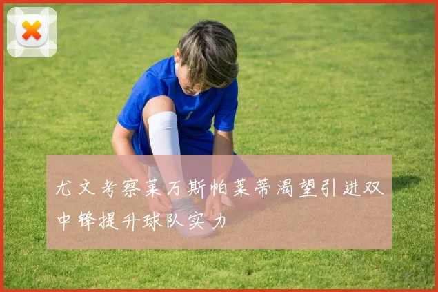尤文考察莱万斯帕莱蒂渴望引进双中锋提升球队实力